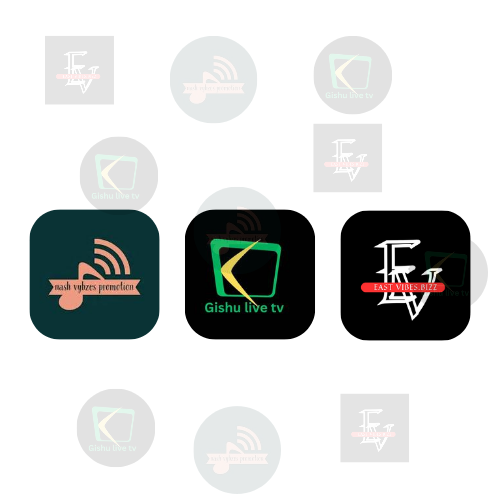 nash vybzes team logo